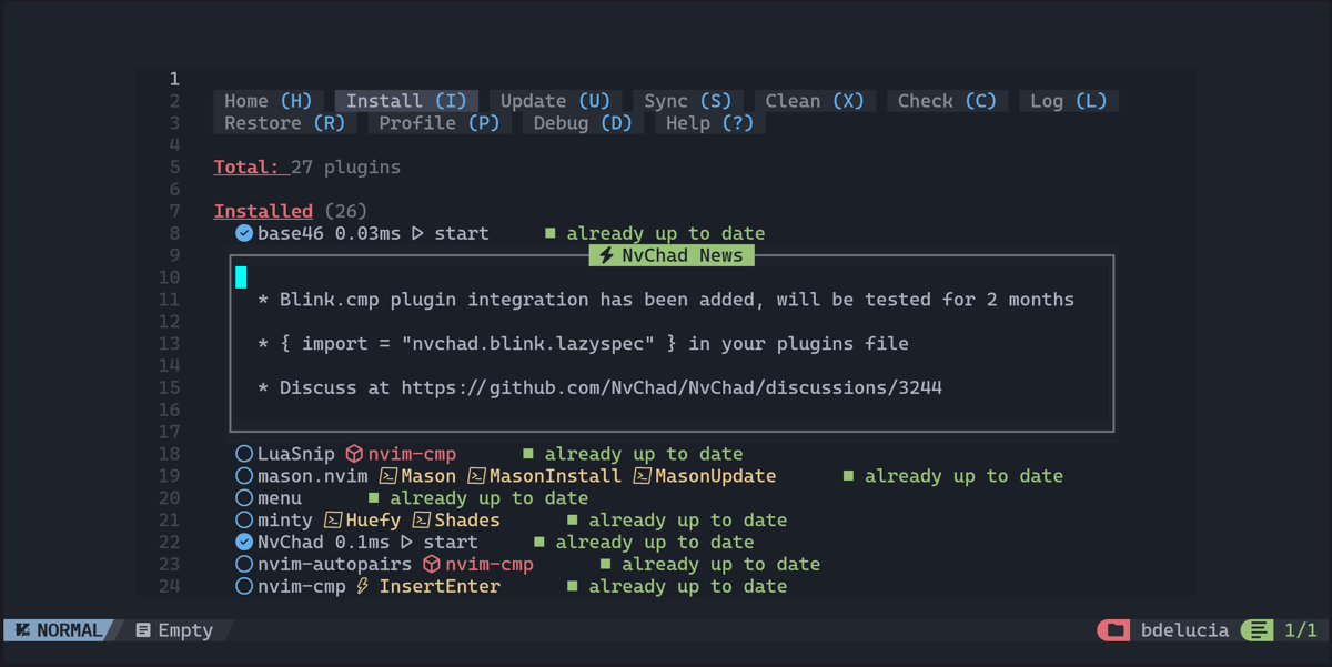 Neovim after cloning the NvChad starter config