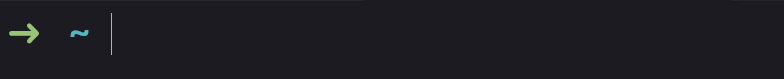 Terminal after installing oh-my-zsh with updated prompt styling