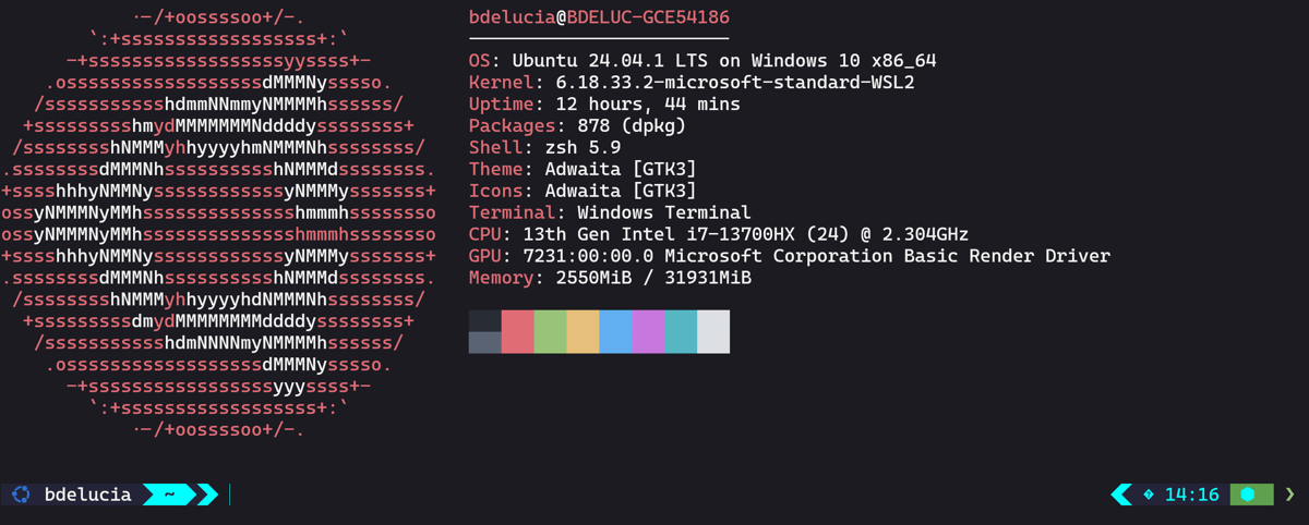 Terminal startup showing neofetch system info output
